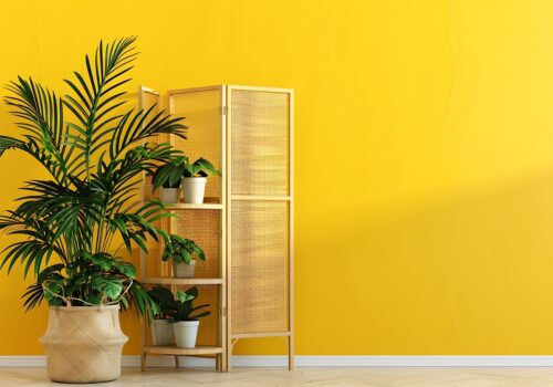 Design trifft Funktion: Lösungen für offene Grundrisse
