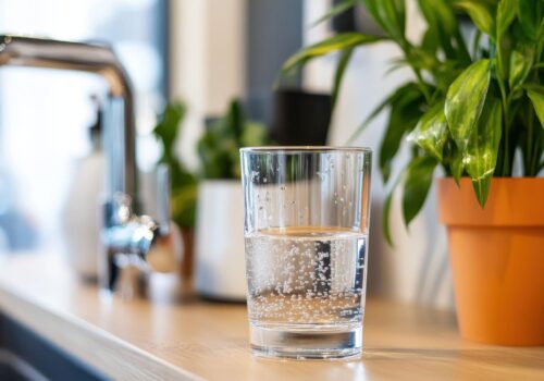 Küchengeräte mit Nutzenfaktor: Wenn Hygiene auf Technik trifft