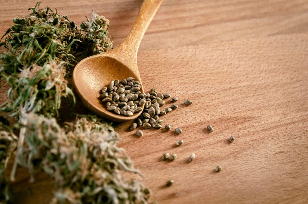 Cannabis Samen_ganjafarmer.de